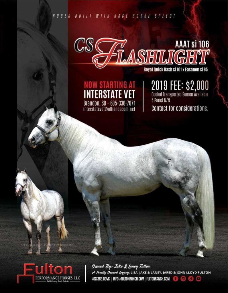 Flashlight Stallion Flyer Design