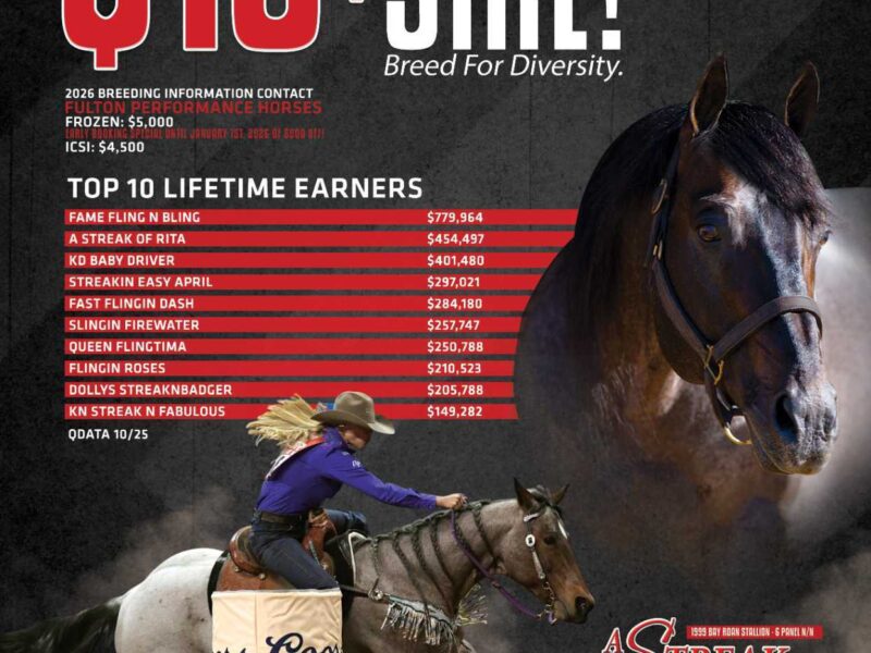 Million Dollar Sire Flyer and ad Design