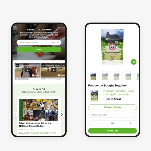 Custom Mobile App Development