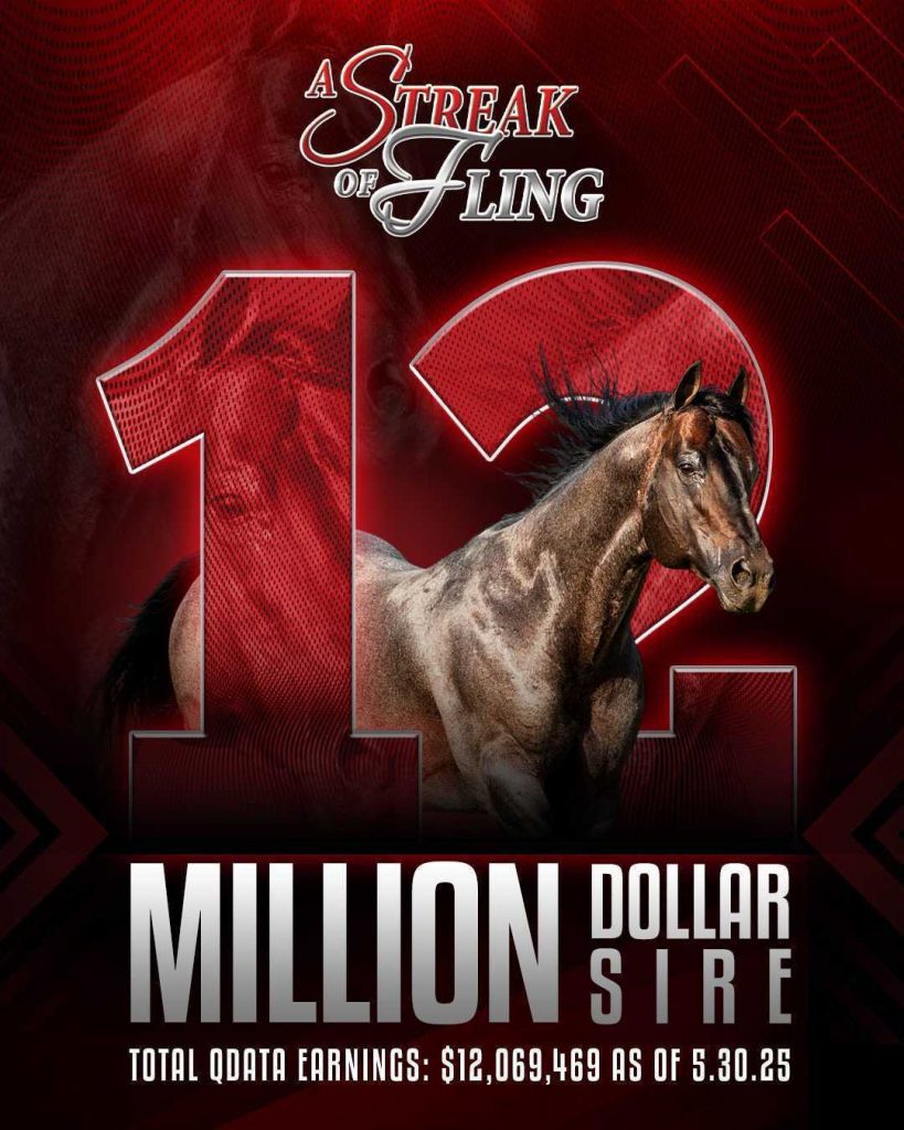 A Streak of Fling Stallion Flyer