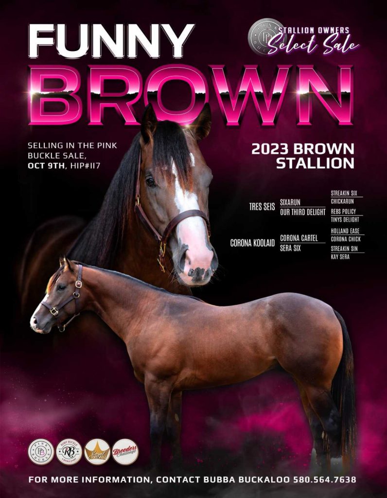 Funny Brown Stallion Flyer Design