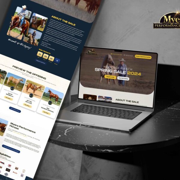 Website Design and Development