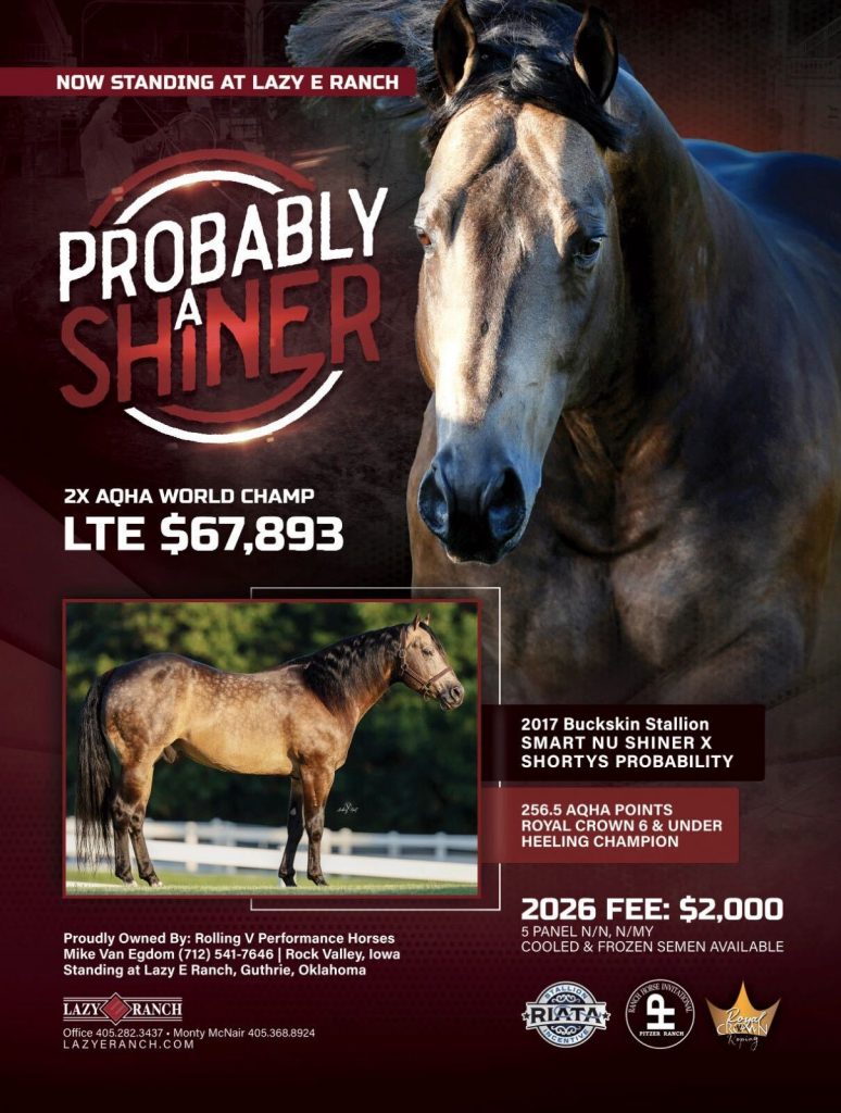 Probably a Shiner Stallion Flyer