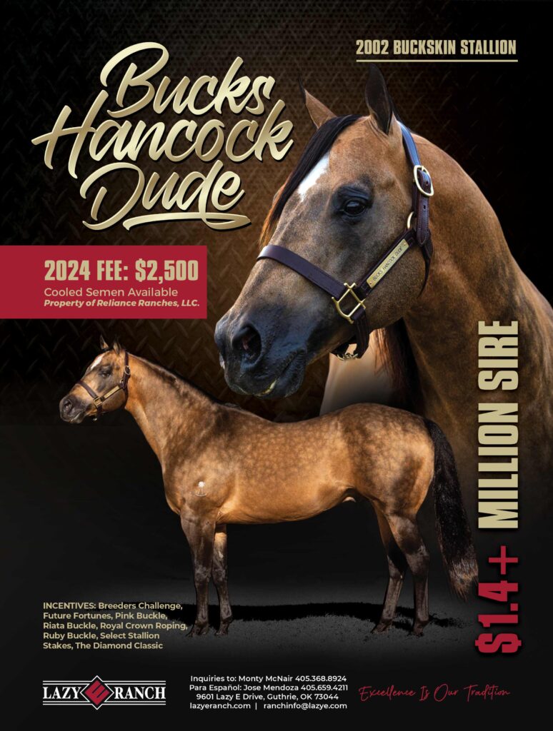 Bucks Hancock Dude Stallion Ad design