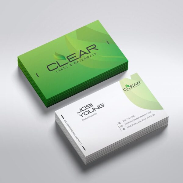 Complete Campaign Design Development
